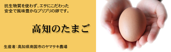 高知のたまご 高知のたまご