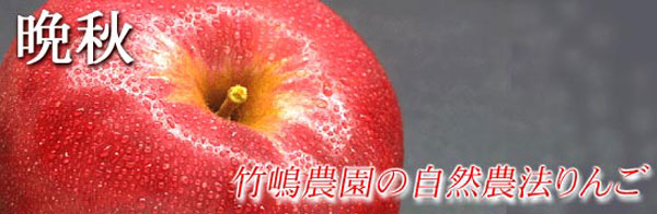 りんご／太陽食品
